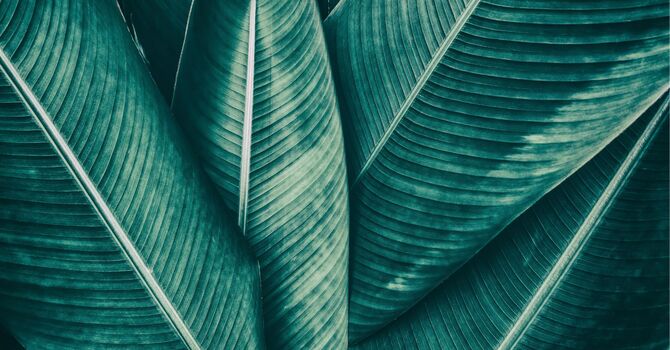 Medication Administration Demonstration