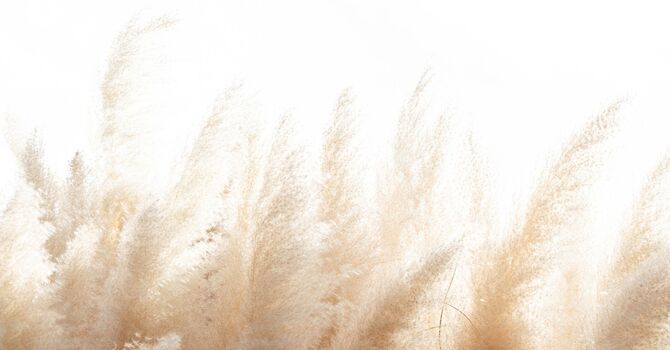 Medication Administration Demonstration